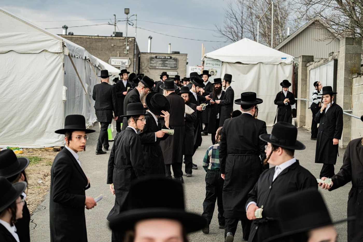 המונים בעליה לציון ביומא דהילולא