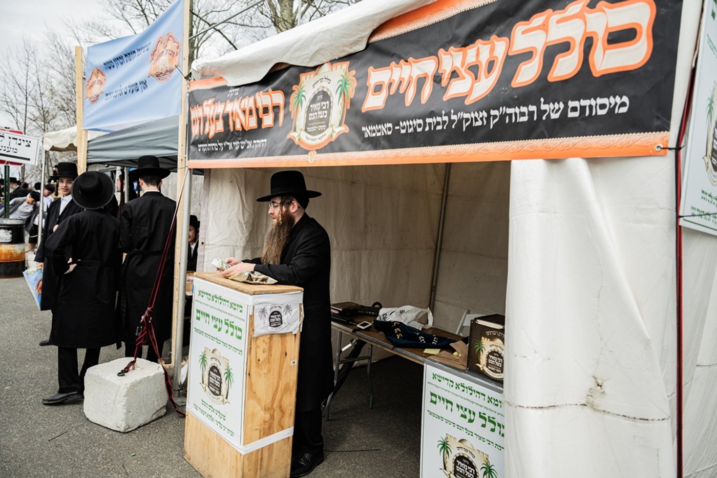 המונים בעליה לציון ביומא דהילולא