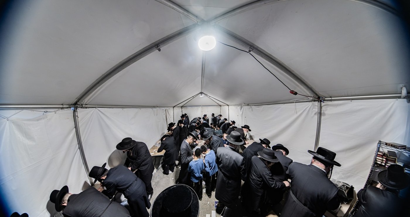 המונים בעליה לציון ביומא דהילולא