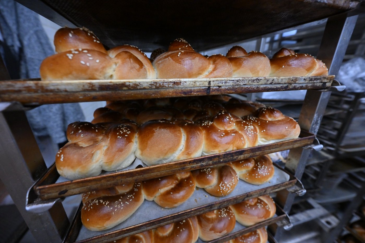 קרעסטיר תשפ"ו 