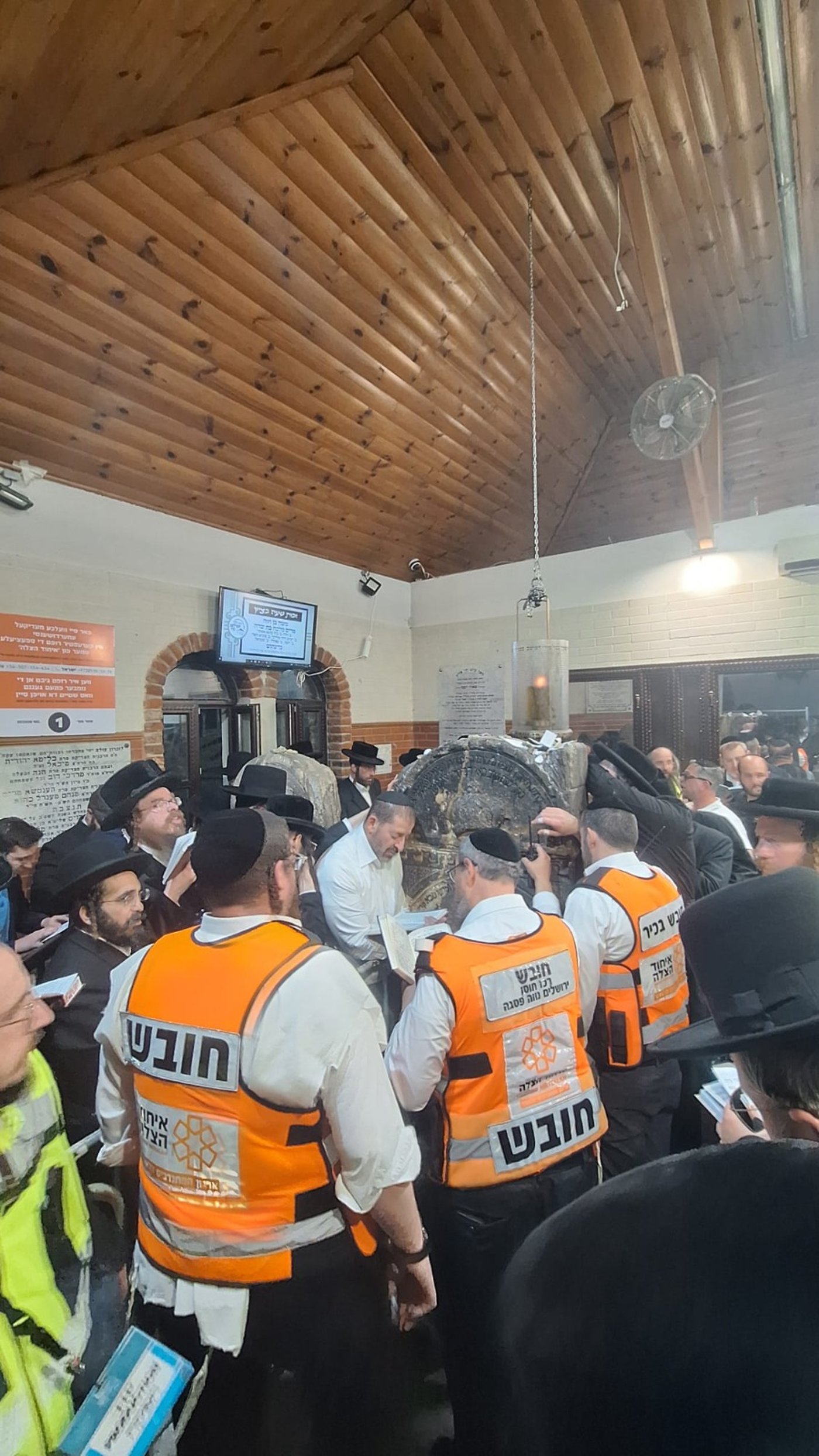 המתנדבים בציון