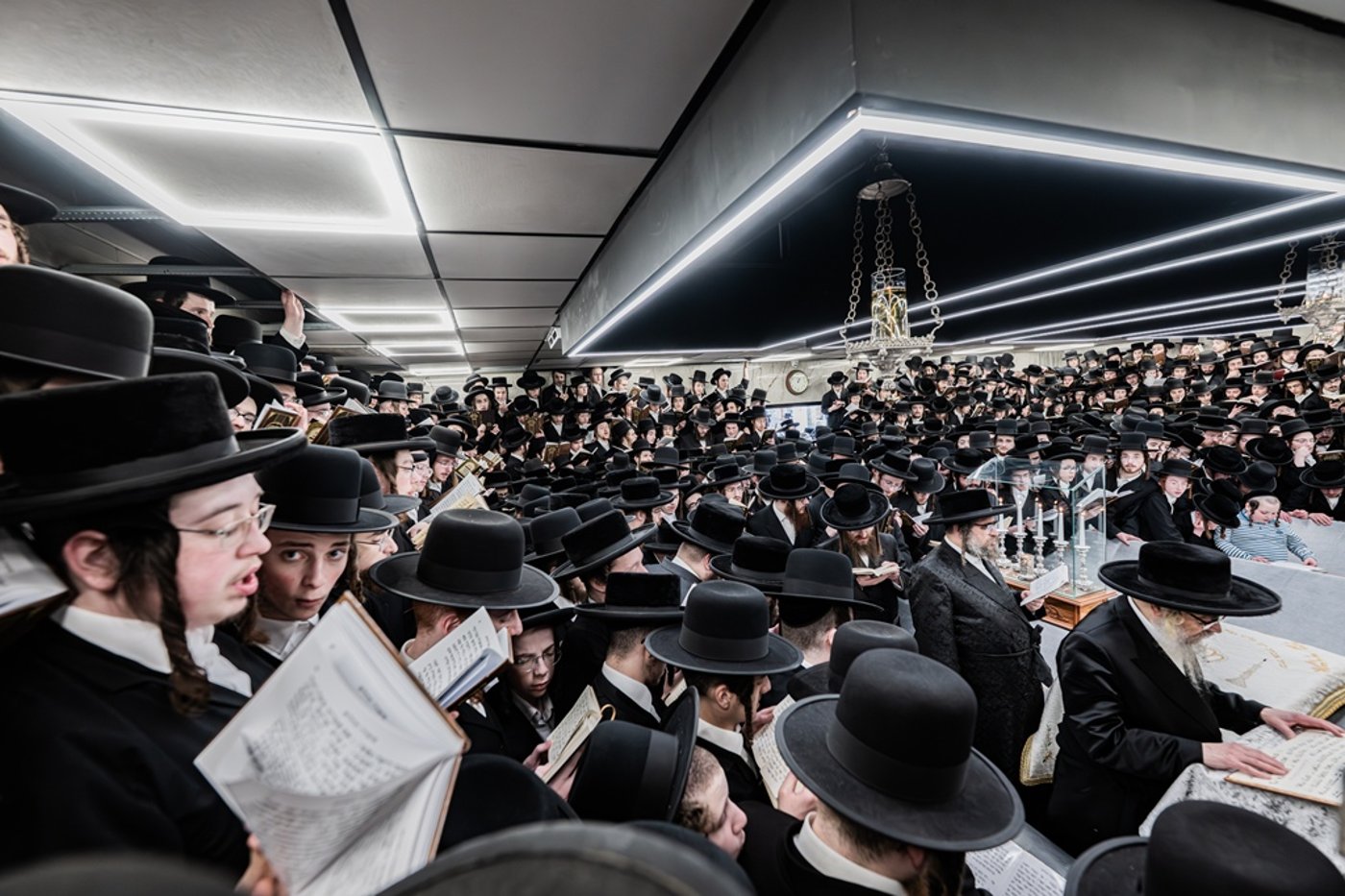 האדמו"ר מסאטמר בעליה לציון