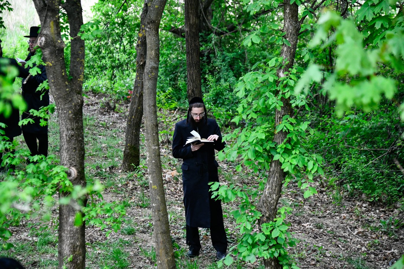 הילולא קדישא בקראסטיר - תשפ"ו