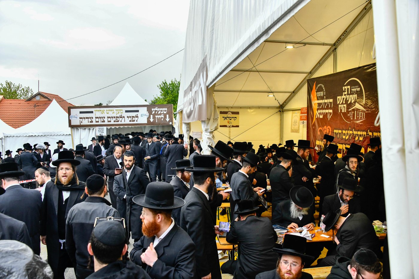 הילולא קדישא בקראסטיר - תשפ"ו