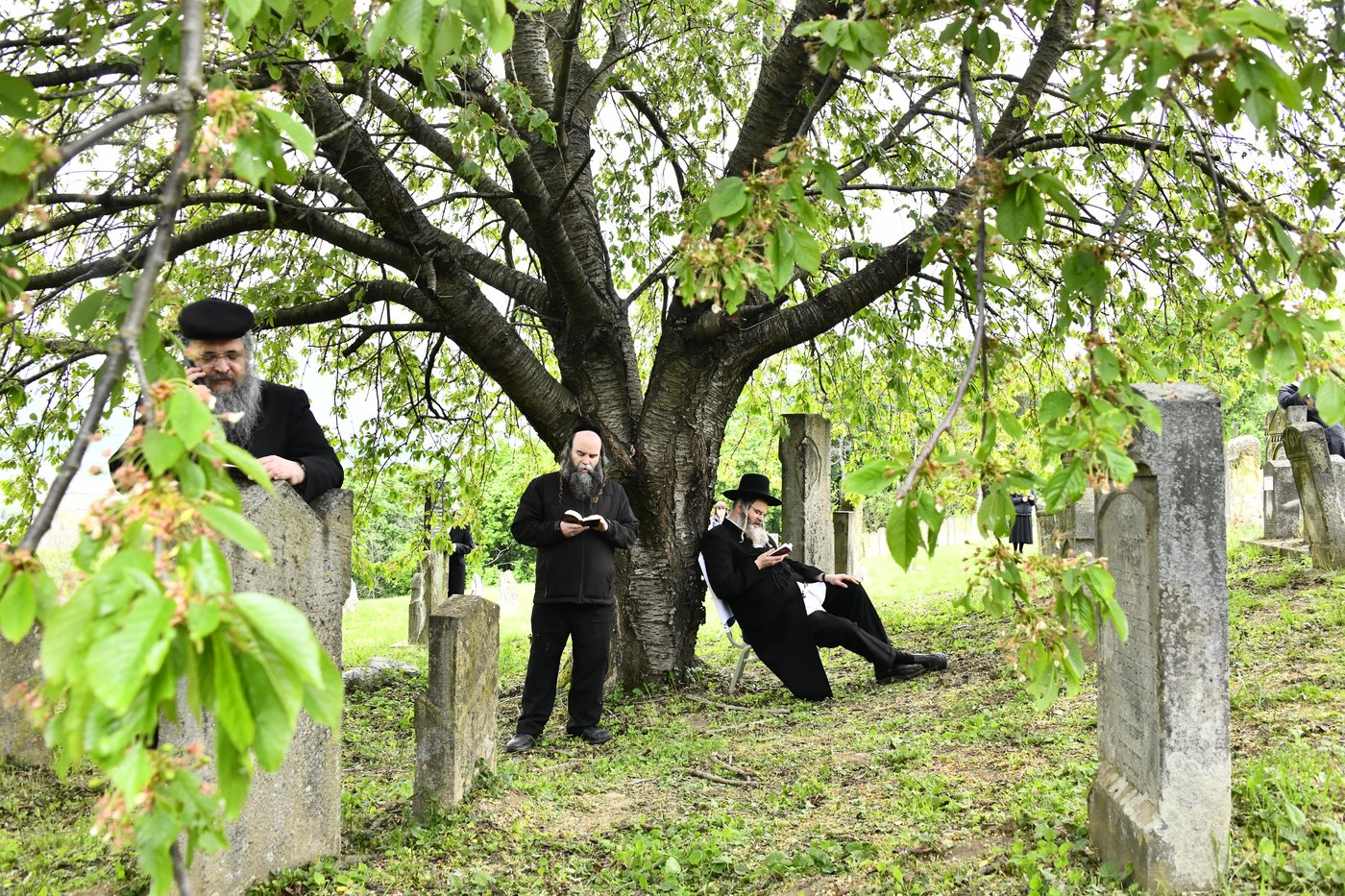 הילולא קדישא בקראסטיר - תשפ"ו