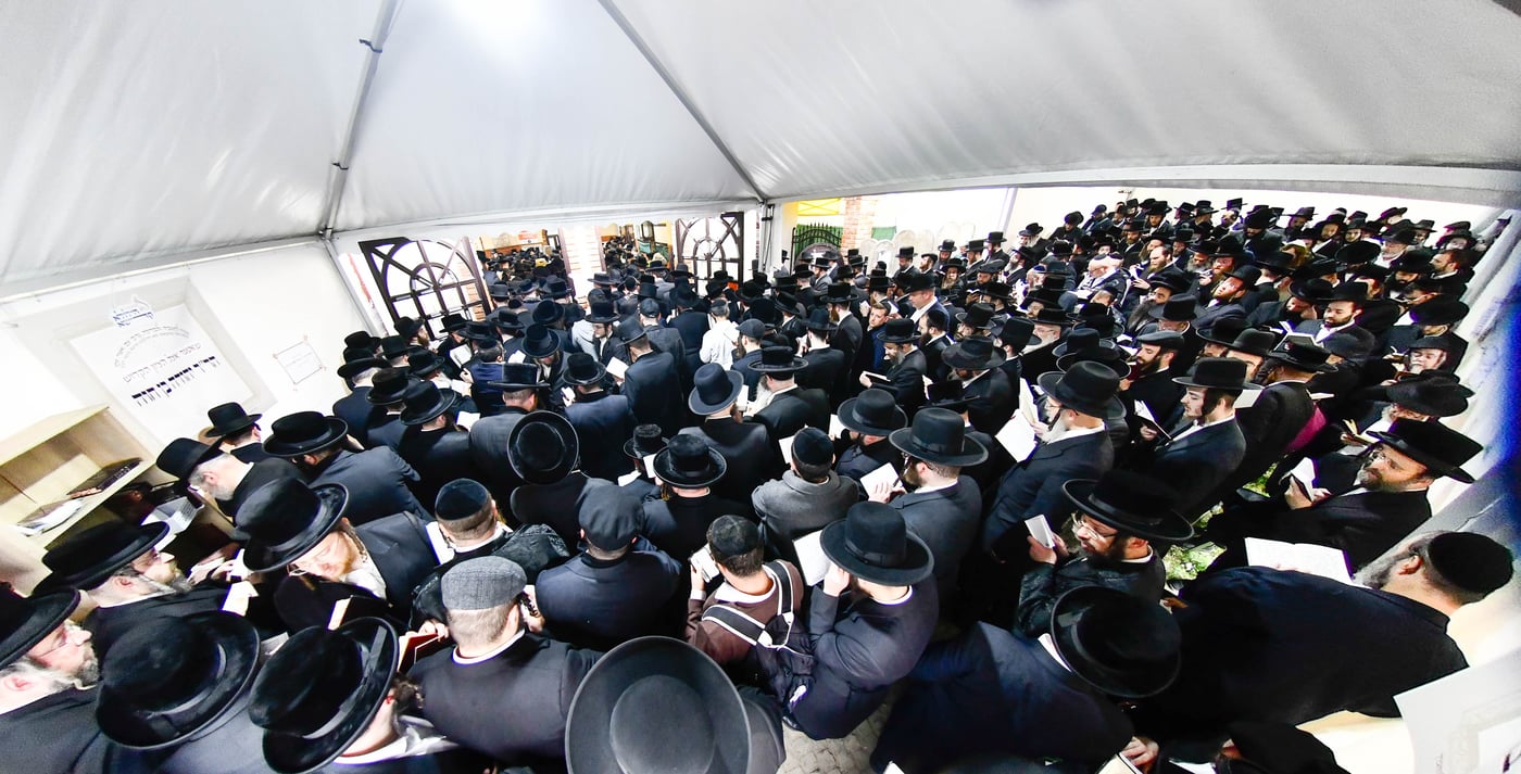 הילולא קדישא בקראסטיר - תשפ"ו