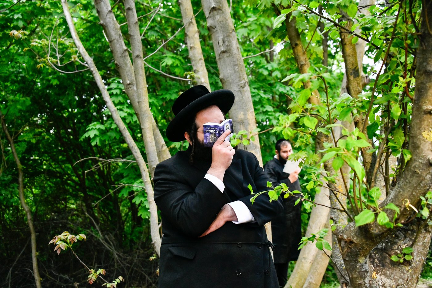 הילולא קדישא בקראסטיר - תשפ"ו