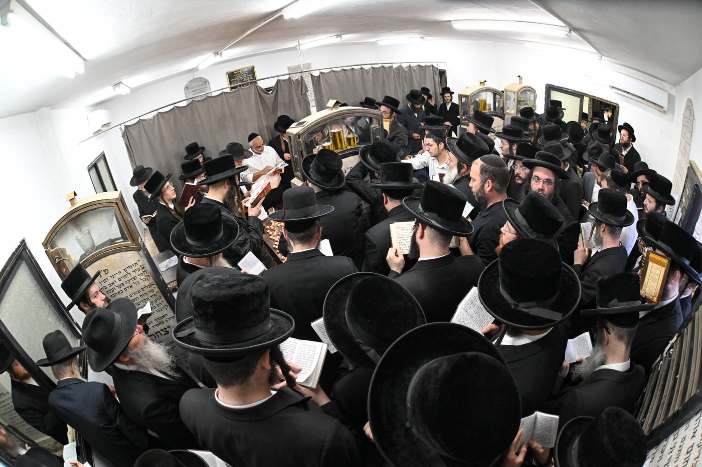 העליה לציון בשנה שעברה