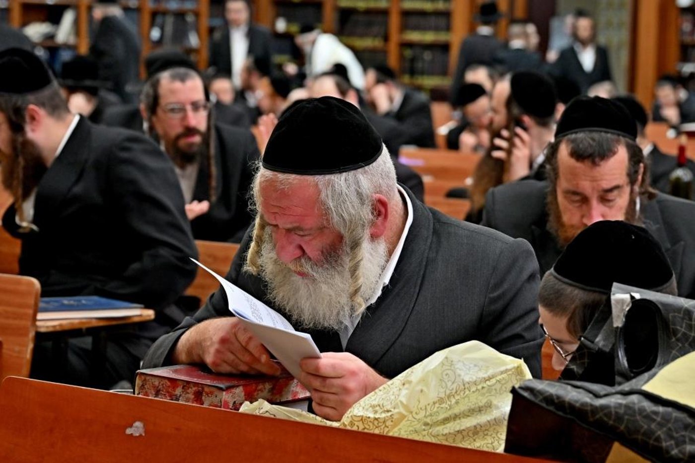 הילולא קדישא בביאלה