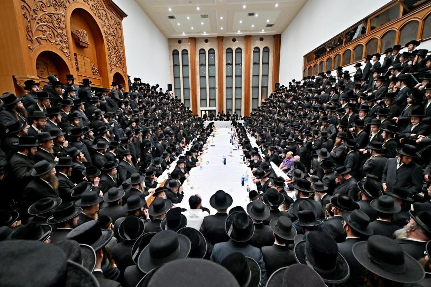 הילולא קדישא בביאלה