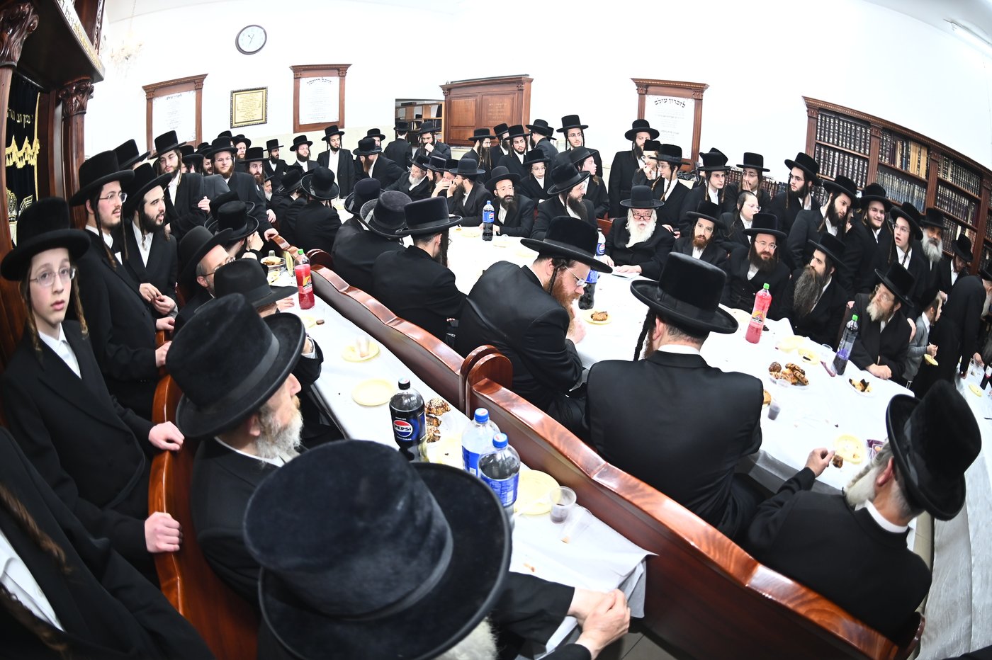 שמחת בית מודז'יץ - נדבורנה - יארוסלב - אופלה