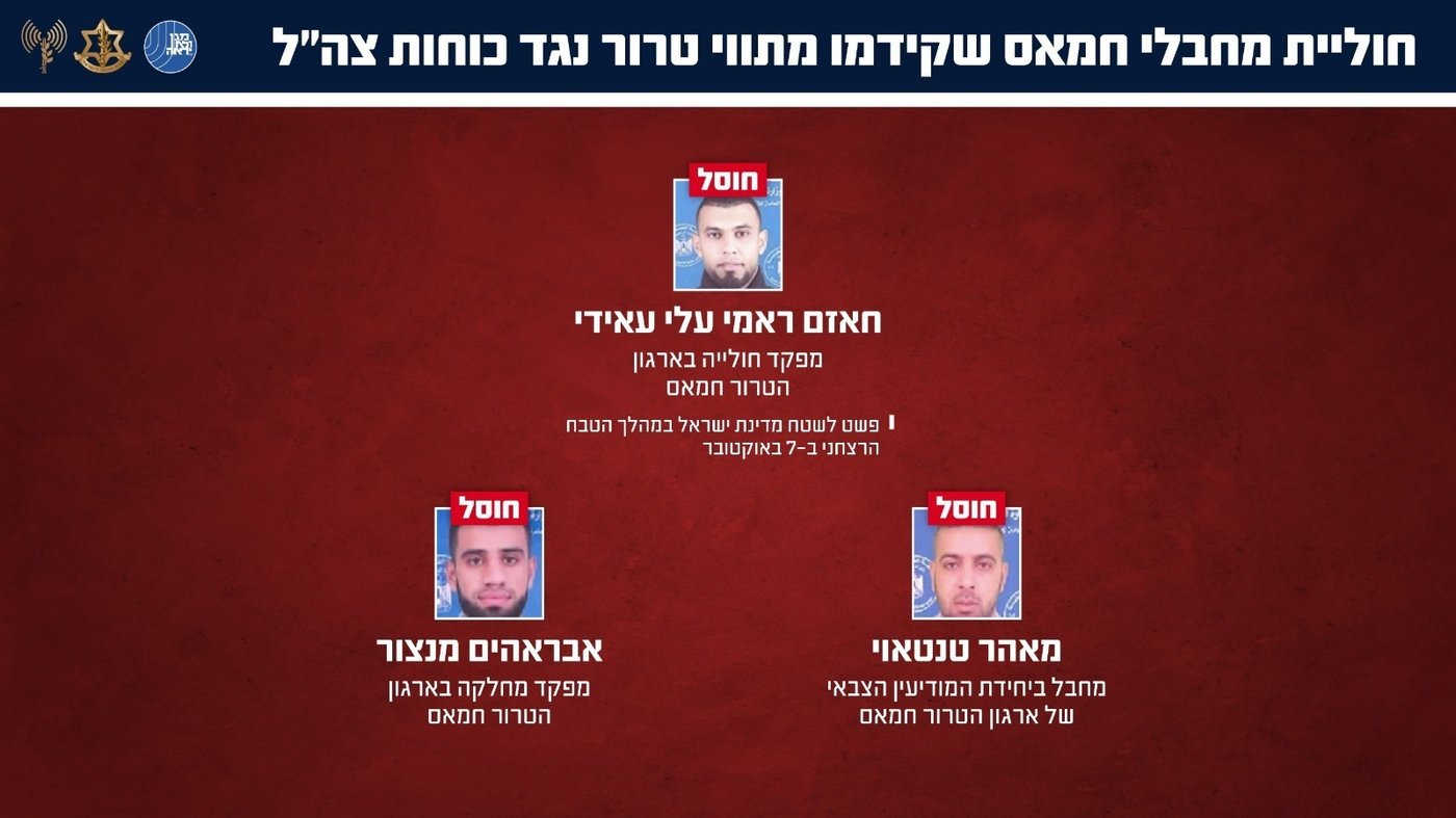 החוליה שחוסלה