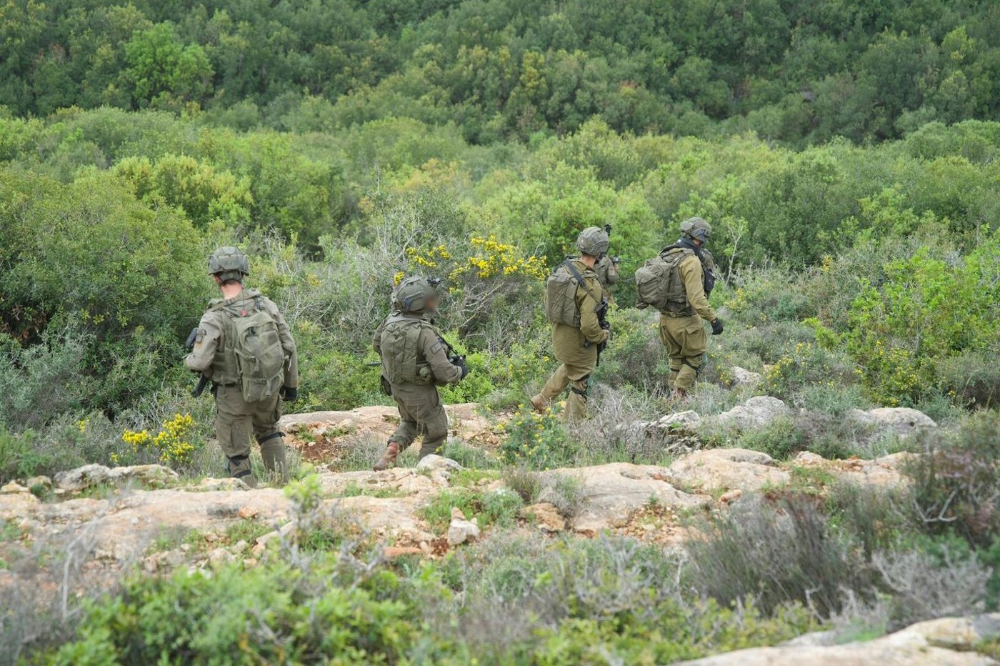 פעילות כוחות חטיבה 226 בדרום לבנון