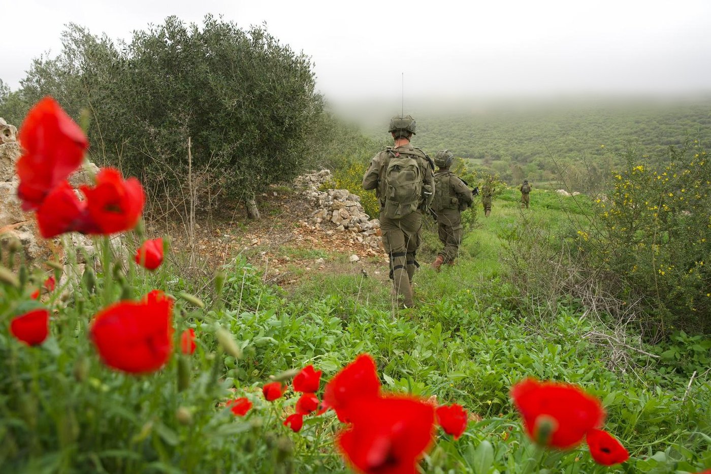 פעילות כוחות חטיבה 226 בדרום לבנון