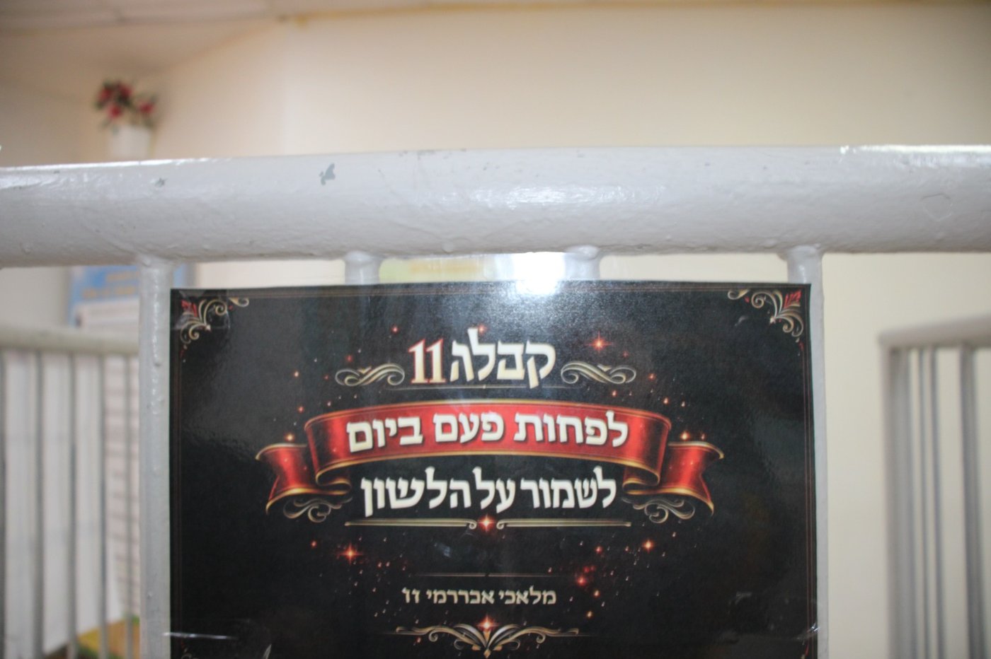 ת"ת פרי תואר אלעד