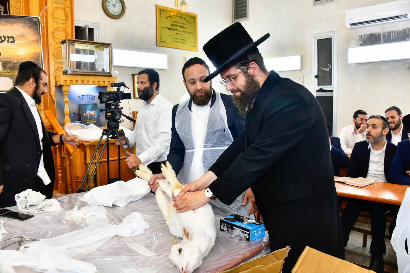 מעמד שחיטת גדי בבני ברק