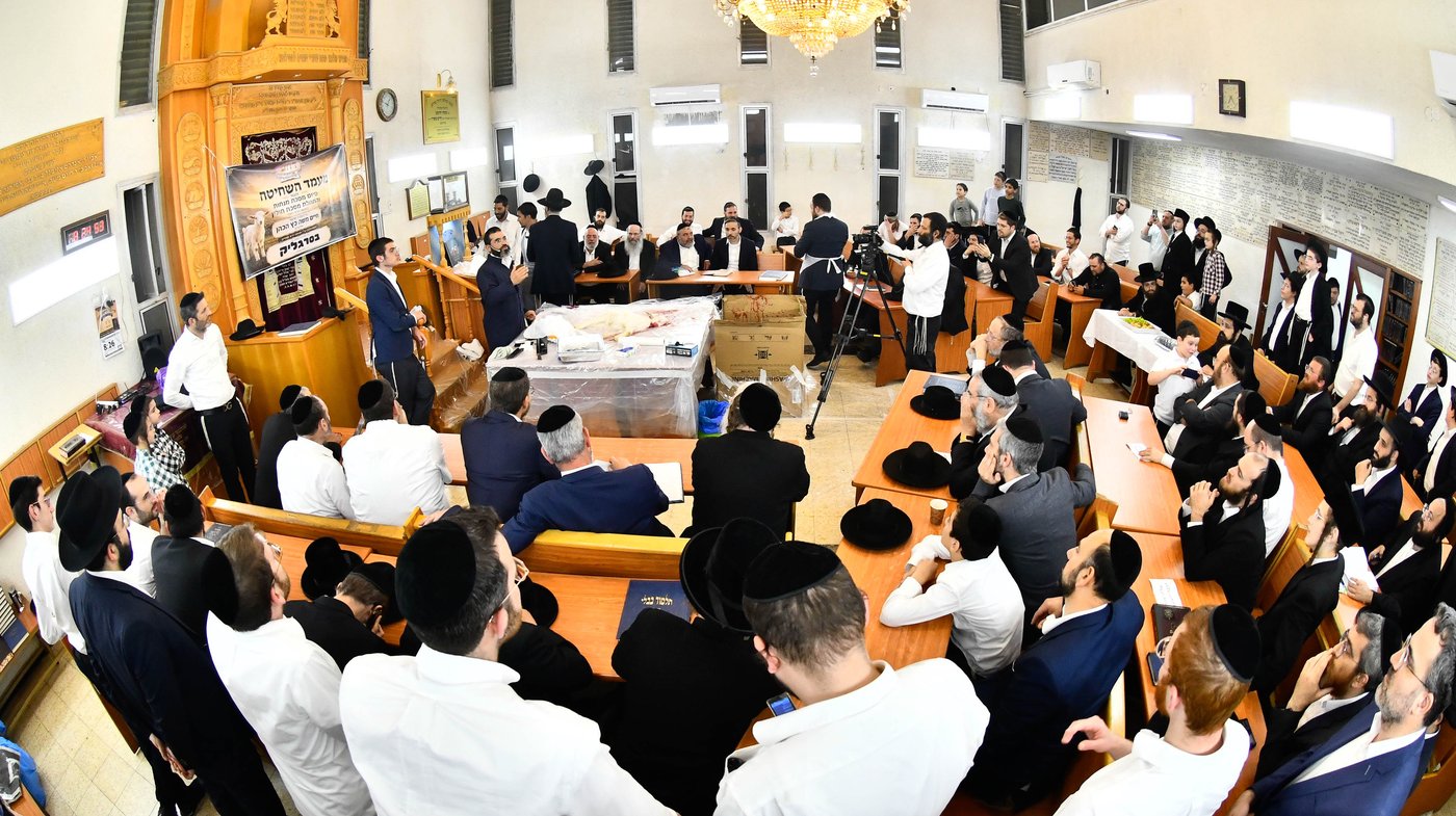 מעמד שחיטת גדי בבני ברק