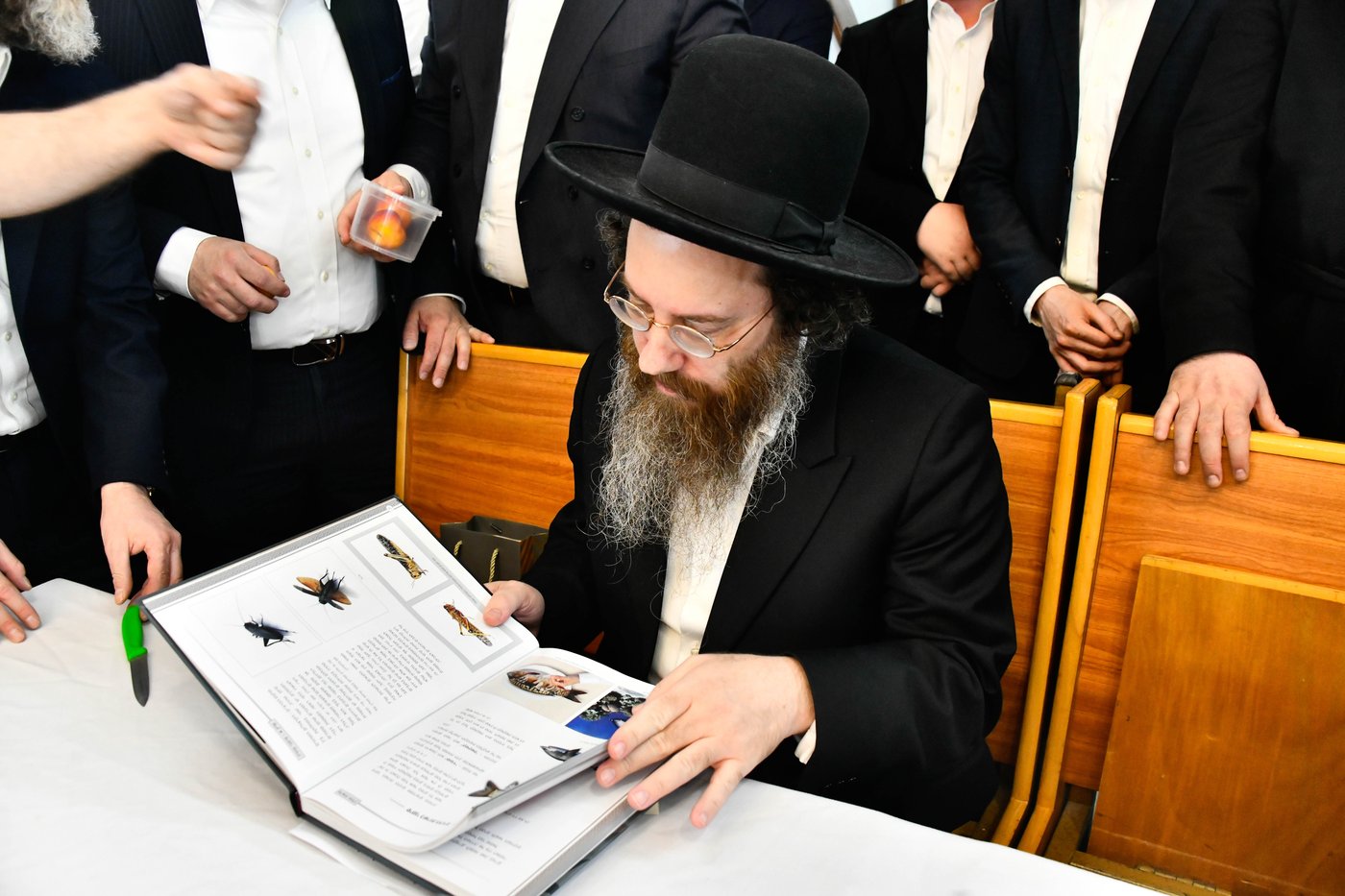 מעמד שחיטת גדי בבני ברק