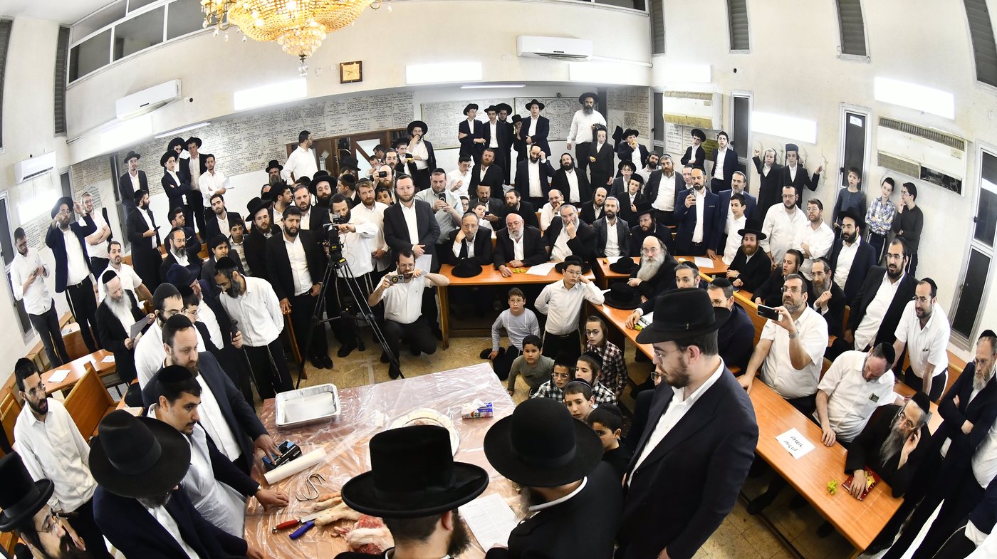 מעמד שחיטת גדי בבני ברק