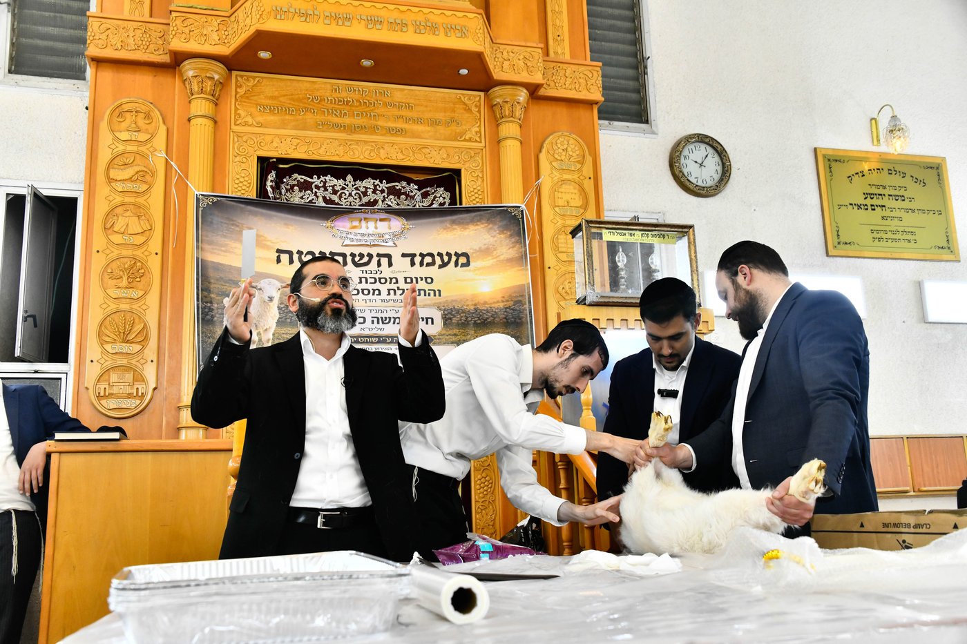 מעמד שחיטת גדי בבני ברק