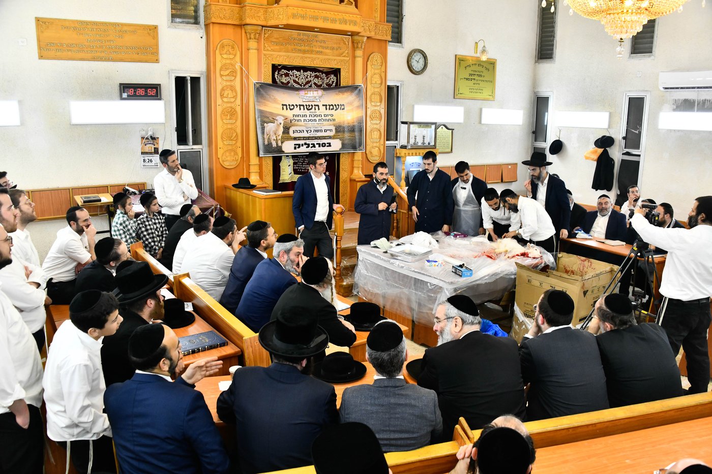 מעמד שחיטת גדי בבני ברק