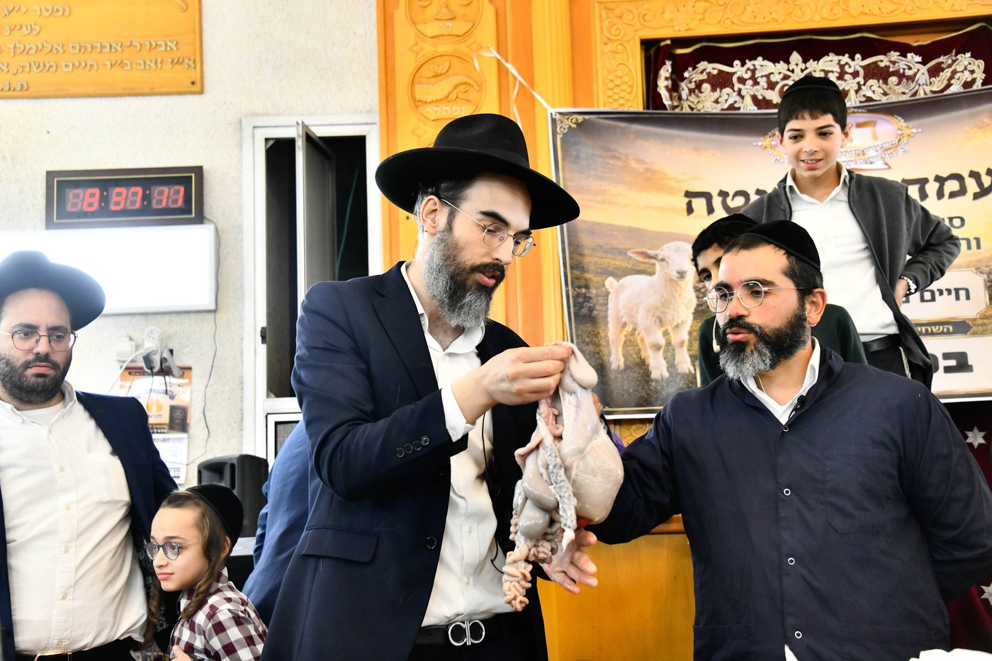 מעמד שחיטת גדי בבני ברק