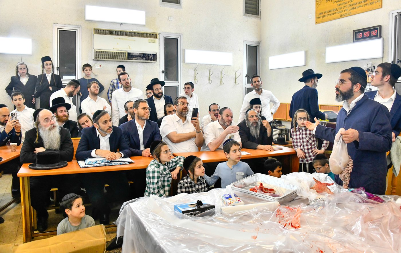 מעמד שחיטת גדי בבני ברק