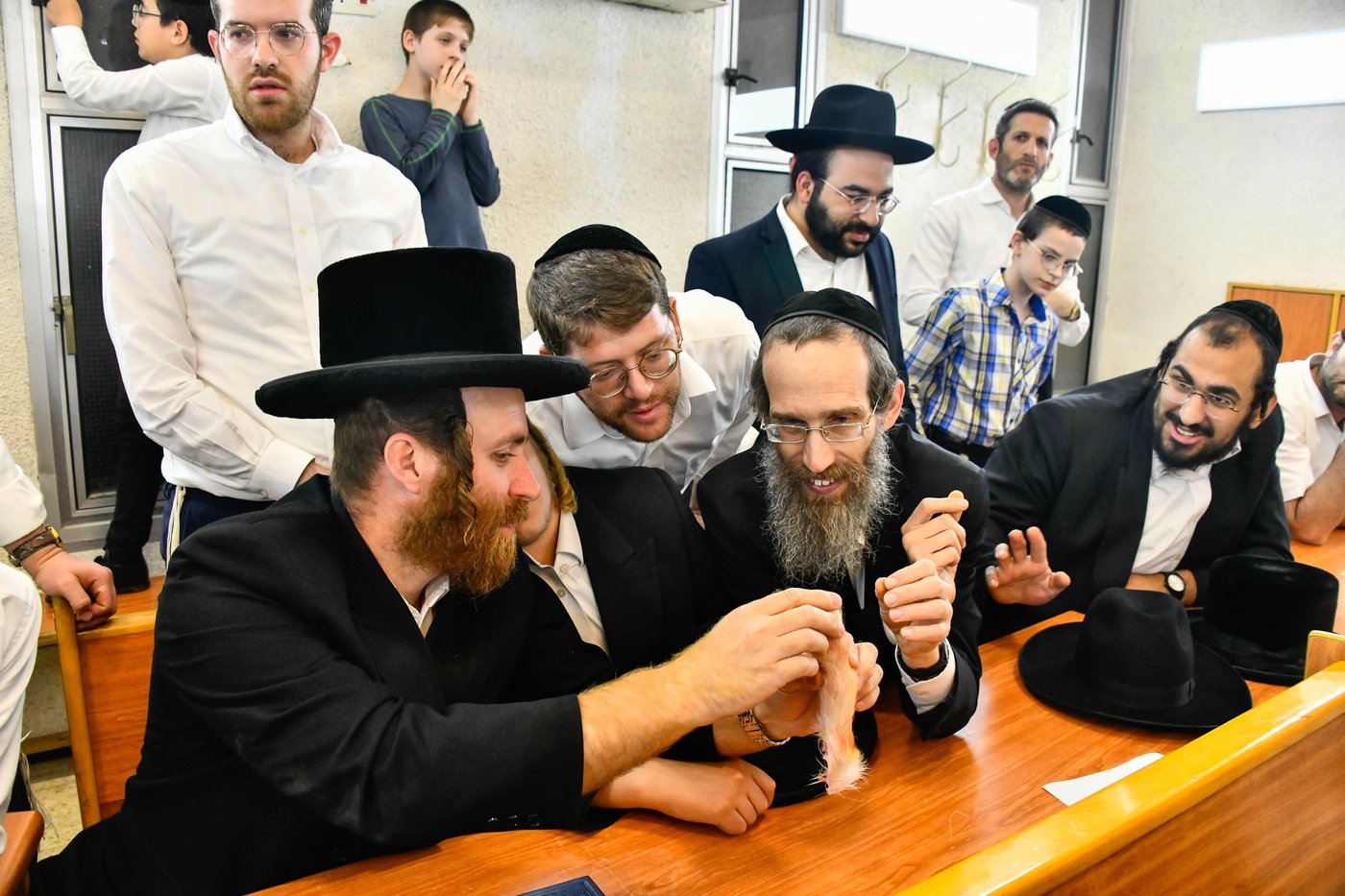 מעמד שחיטת גדי בבני ברק