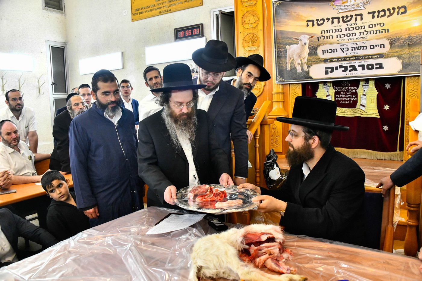 מעמד שחיטת גדי בבני ברק