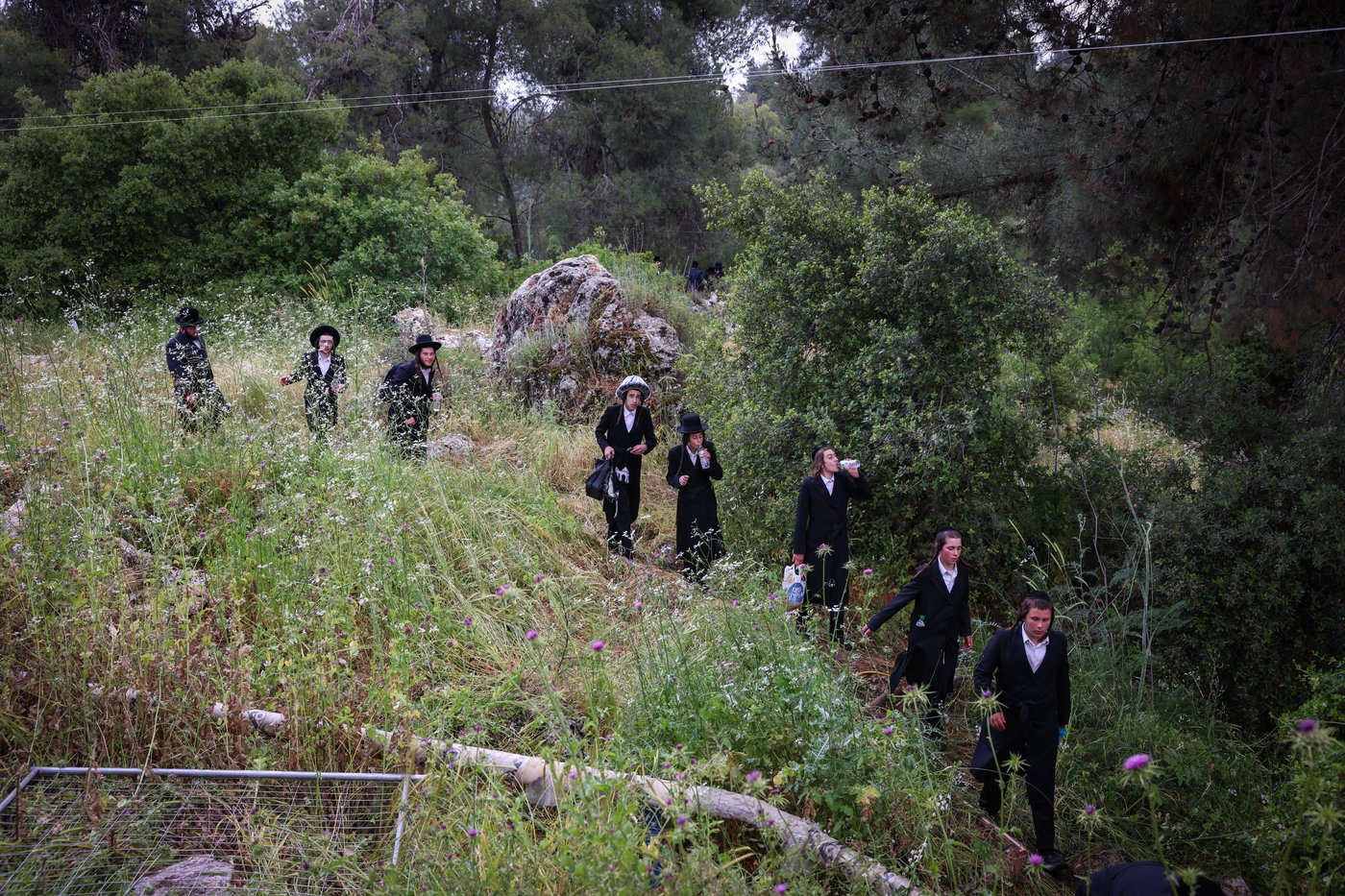 יהודים ביערות ביום ל"ג בעומר בדרך למירון
