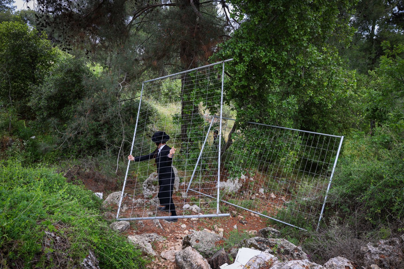 יהודים ביערות ביום ל"ג בעומר בדרך למירון