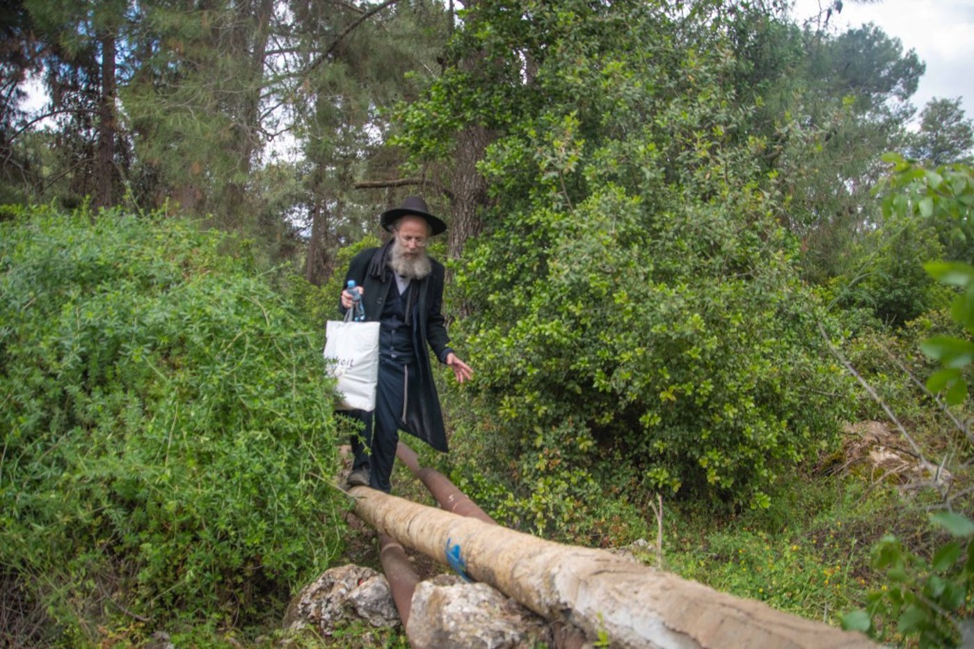 מראות מירון ל"ג בעומר תשפ"ו