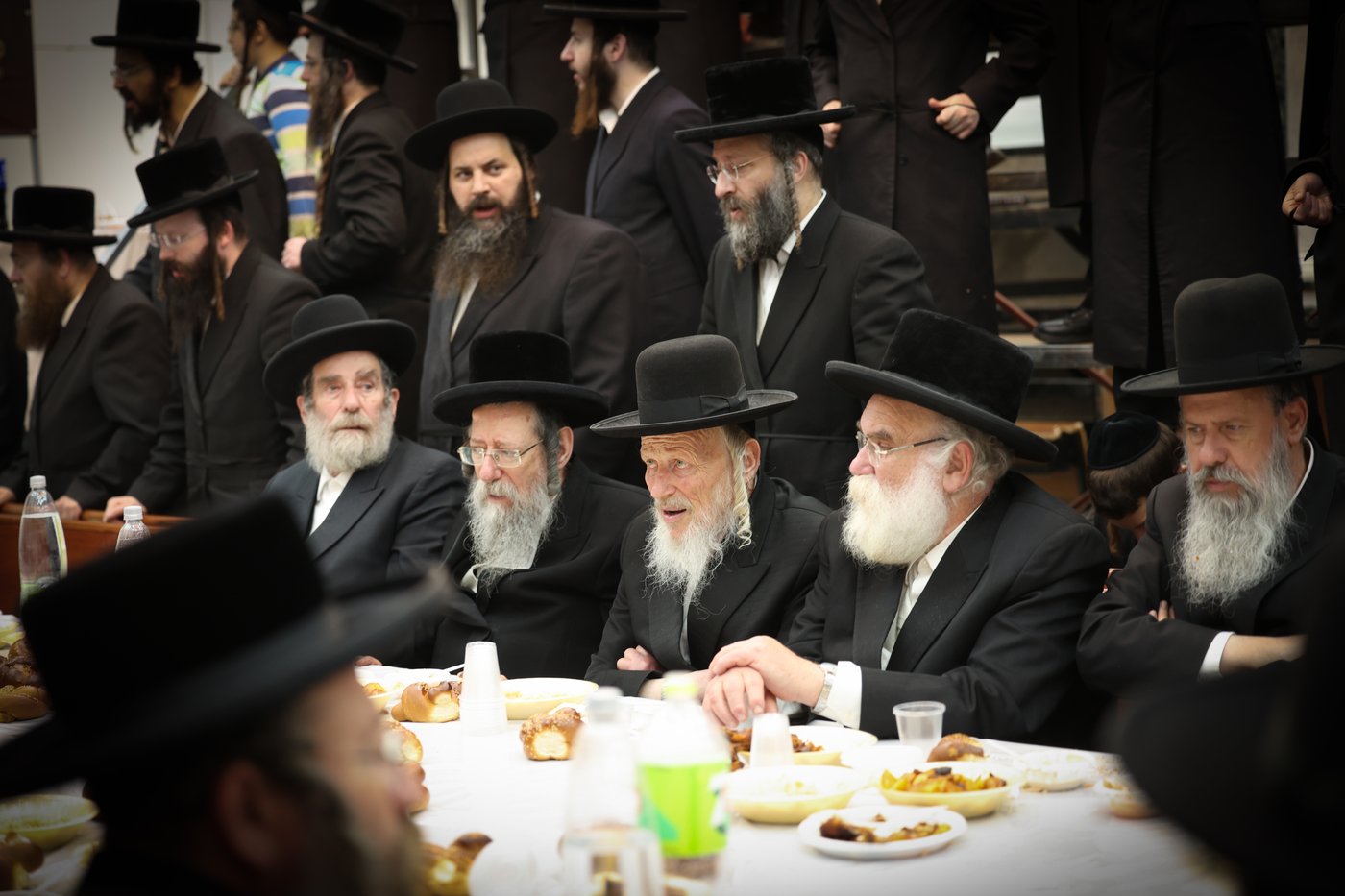 הילולא קדישא וכתיבת ס"ת בחצה"ק זוועהיל