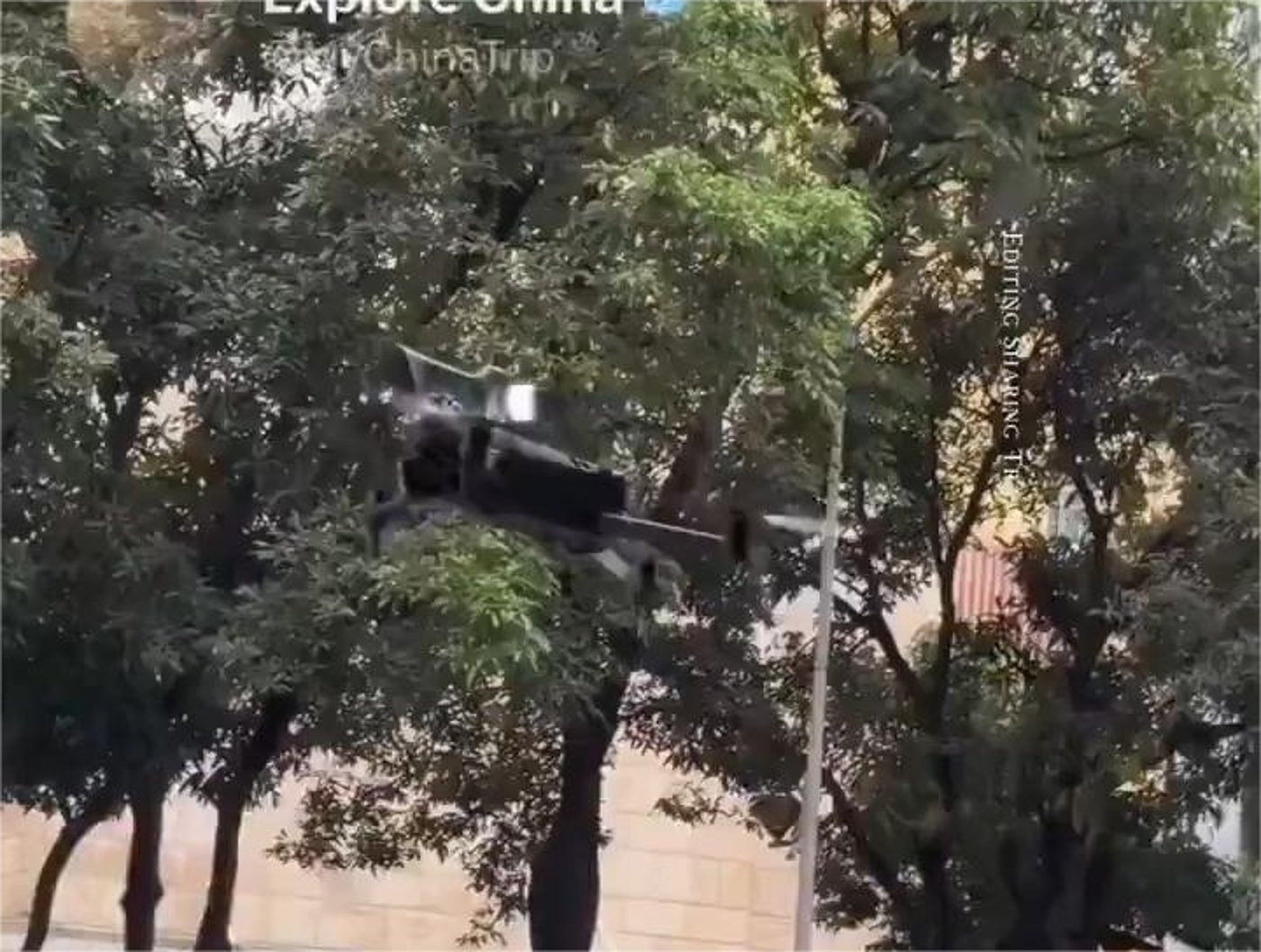 המצלמות המעופפות