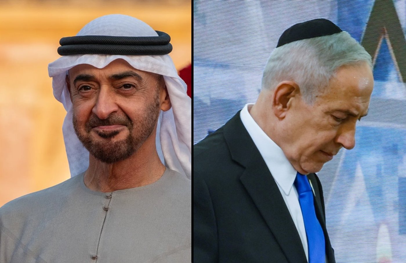 בן זאיד ונתניהו
