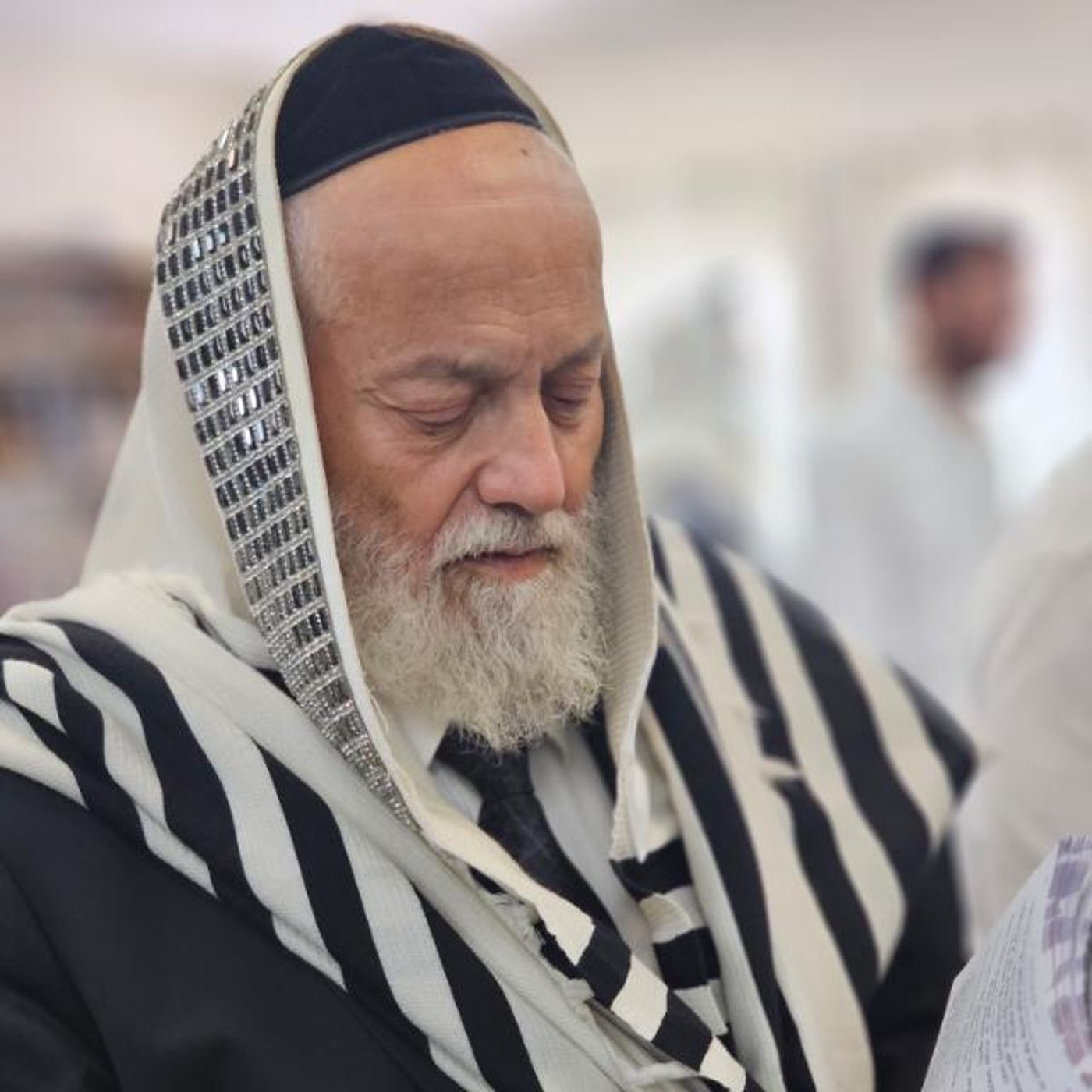 הרה"ג ר' משה צרף זצ"ל