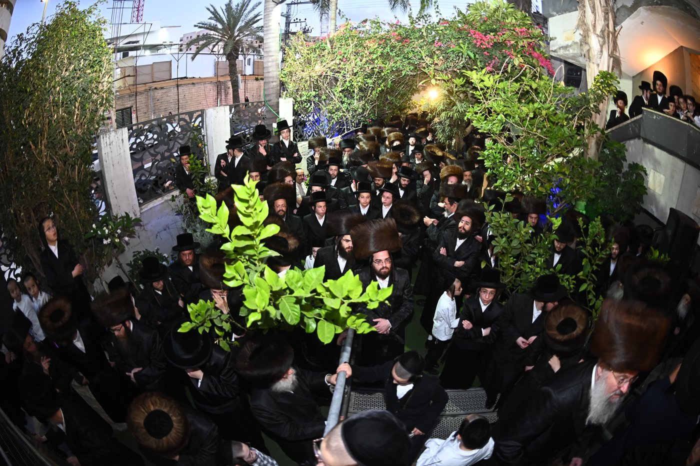 שמחת בית נאראל - זוועהיל - נדבורנה - שאץ ויזניץ