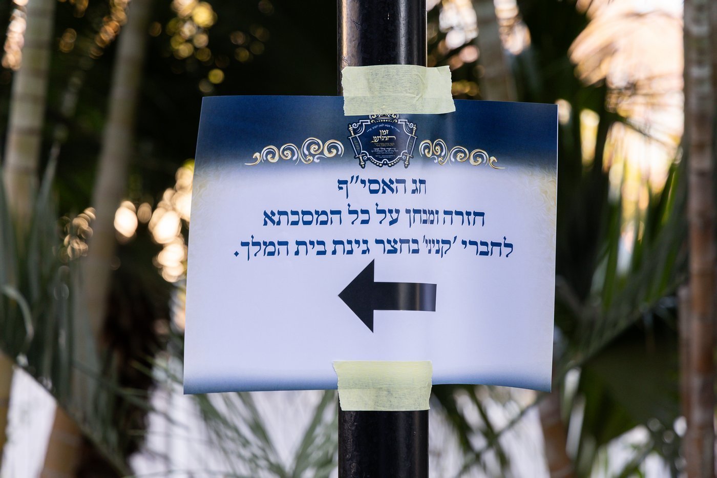 סיום מסכת בדושינסקיא