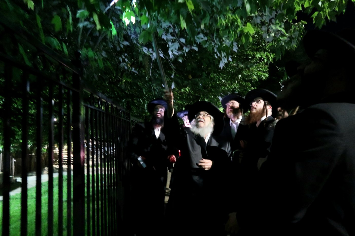 האדמו"ר מסאטמר בשילוח הקן