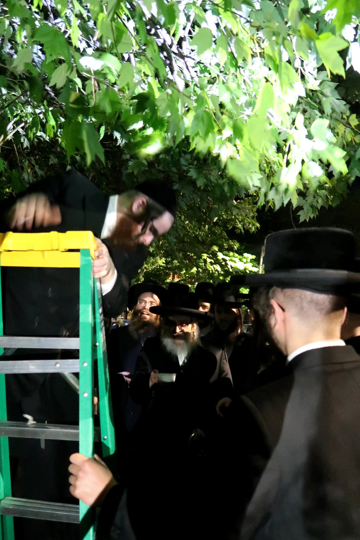 האדמו"ר מסאטמר בשילוח הקן