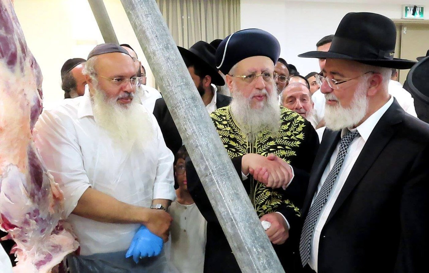 כנס ניקור באשדוד