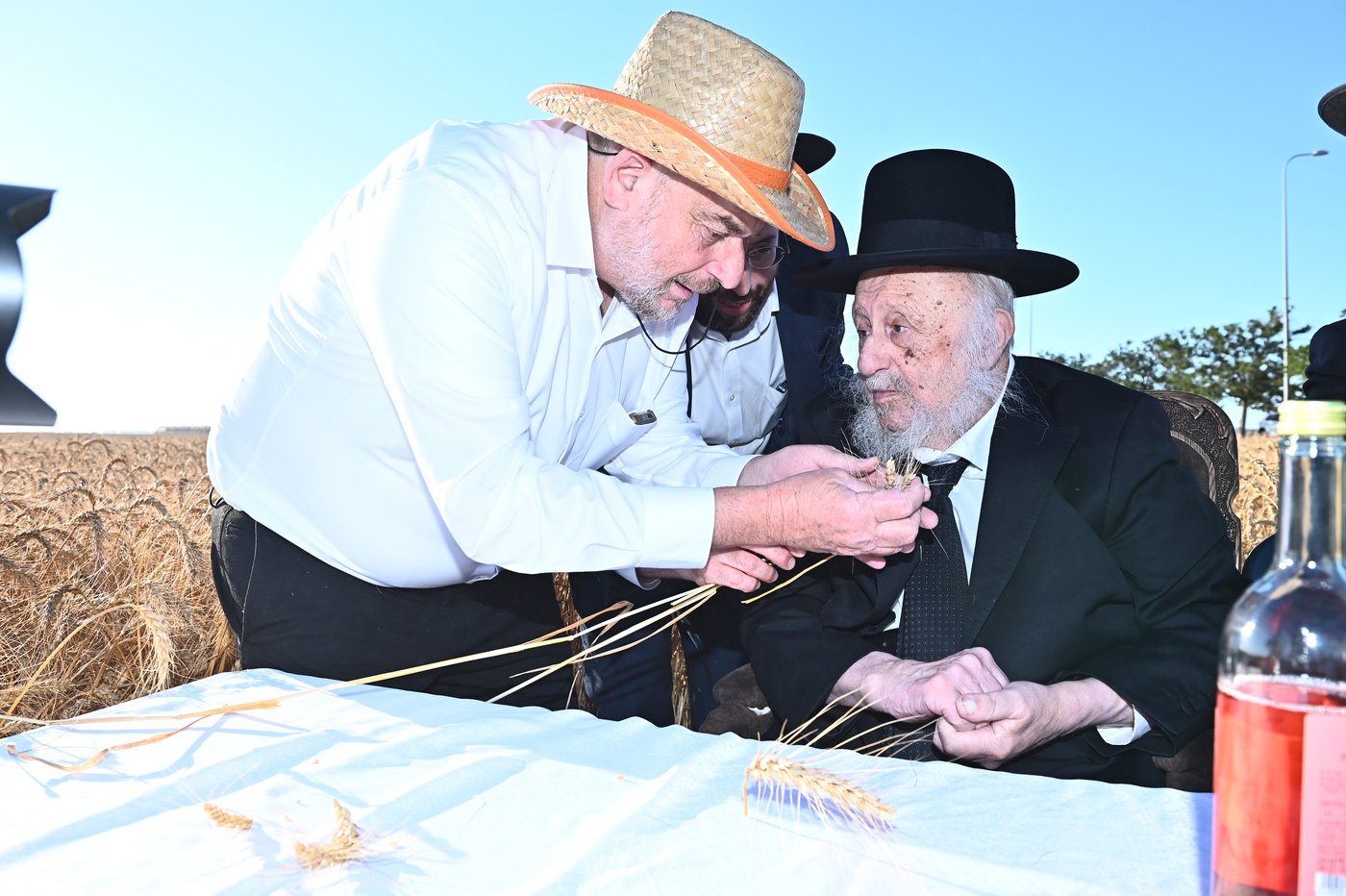הגרב"ד פוברסקי והגר"ש גלאי בקצירת חיטים