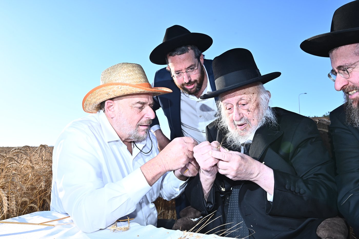 הגרב"ד פוברסקי והגר"ש גלאי בקצירת חיטים