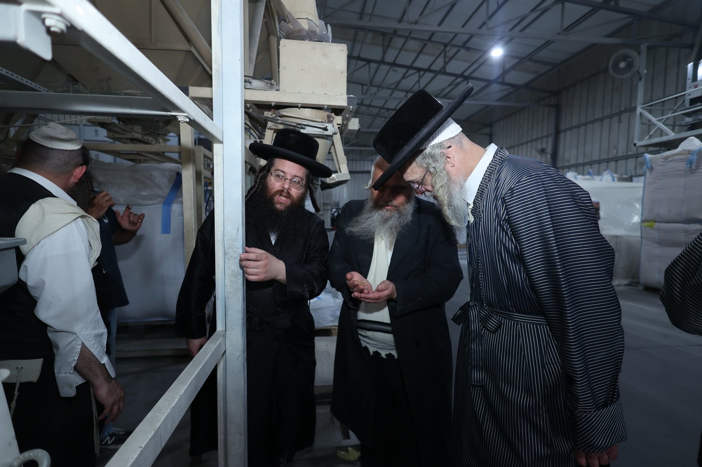 בד"ץ העדה החרדית בקצירת חיטים