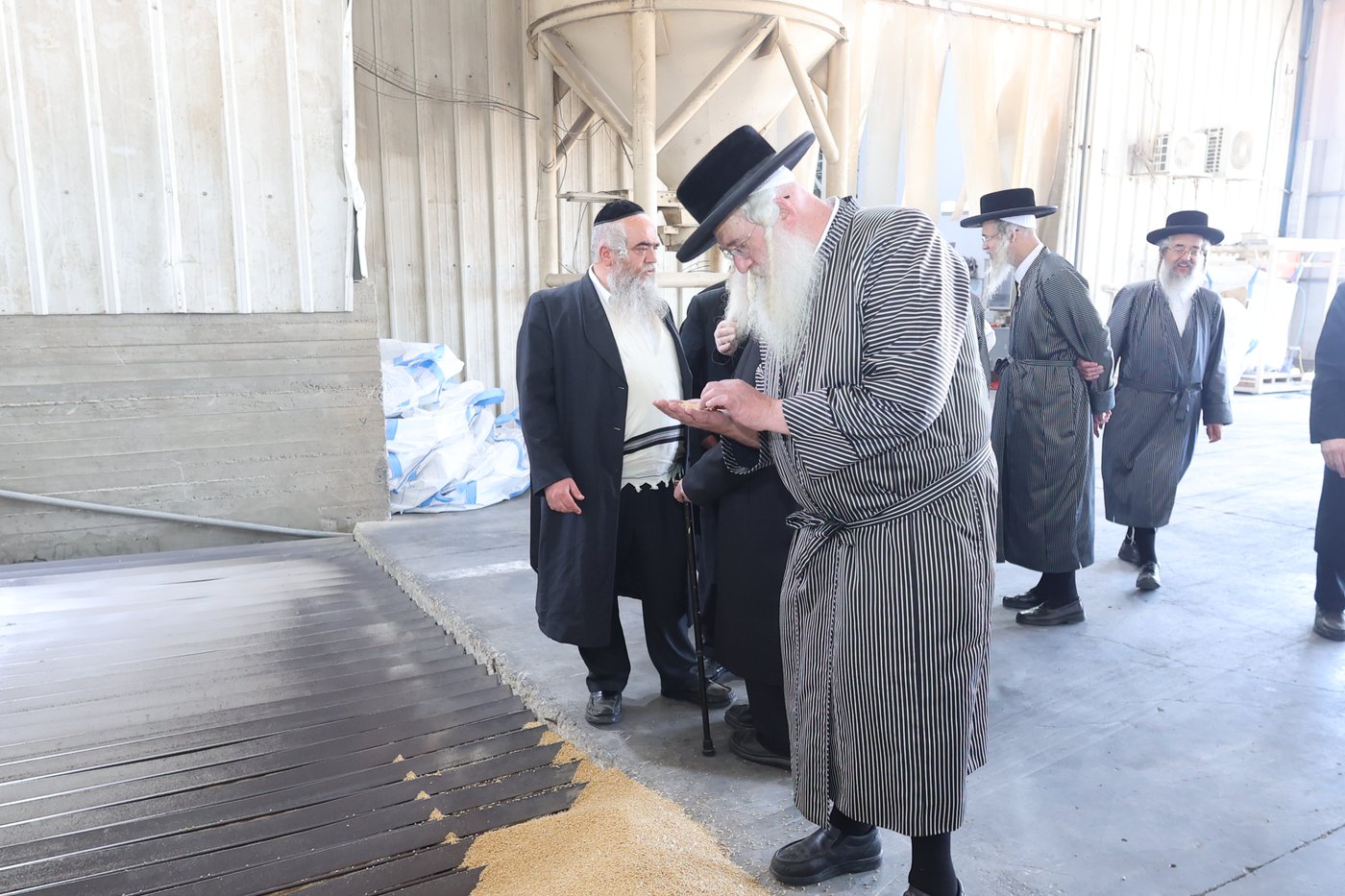 בד"ץ העדה החרדית בקצירת חיטים