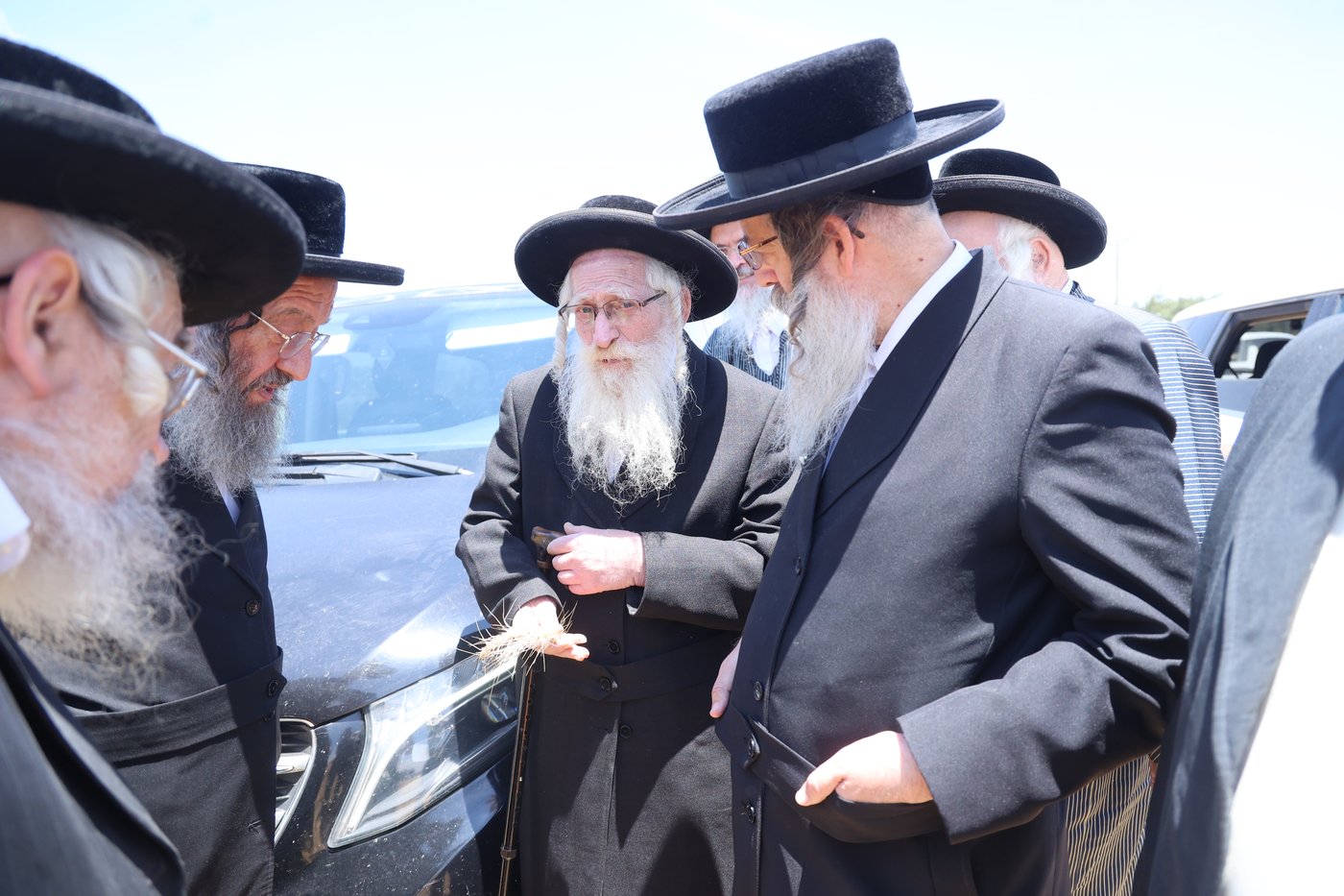 בד"ץ העדה החרדית בקצירת חיטים