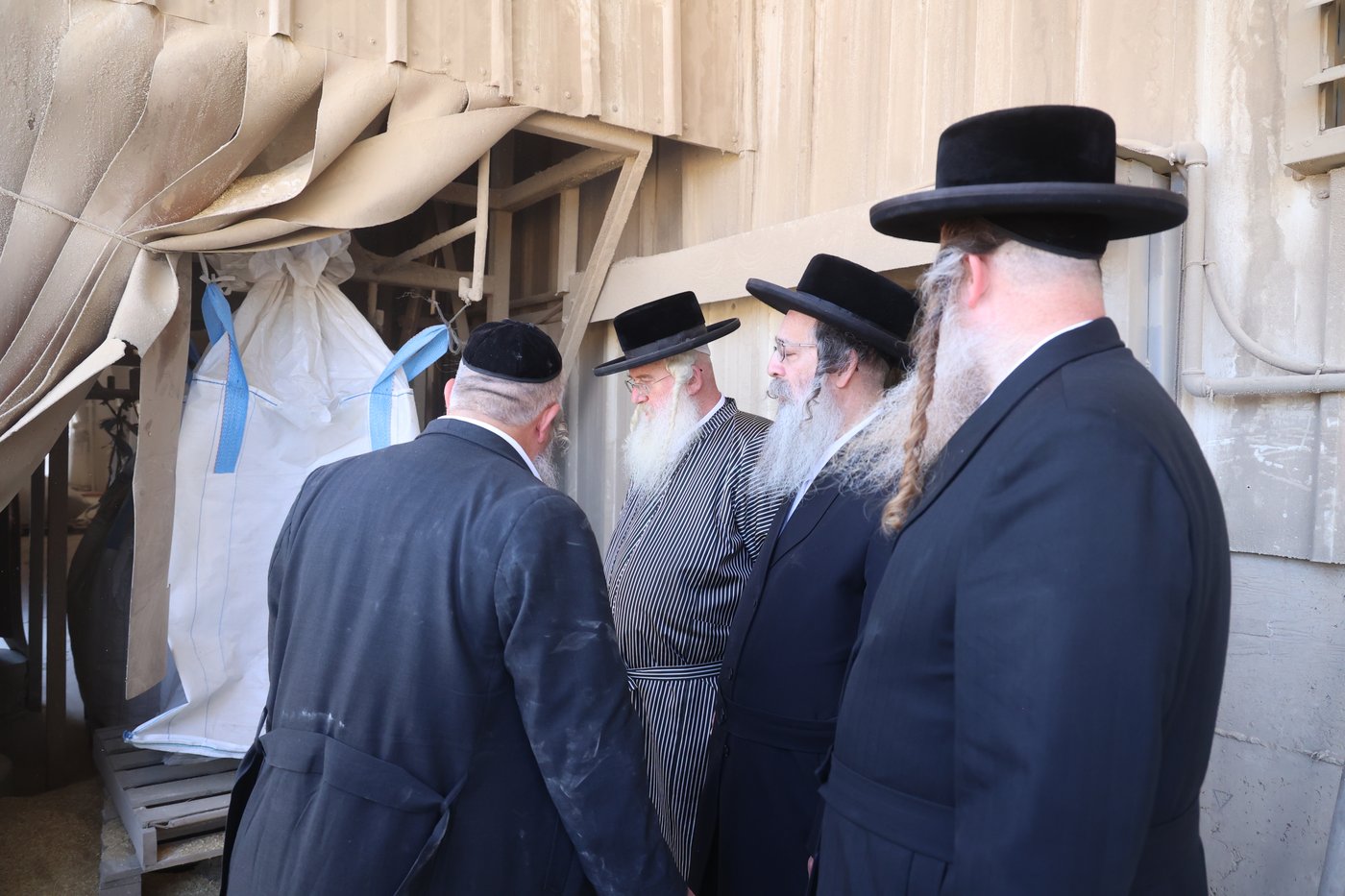 בד"ץ העדה החרדית בקצירת חיטים