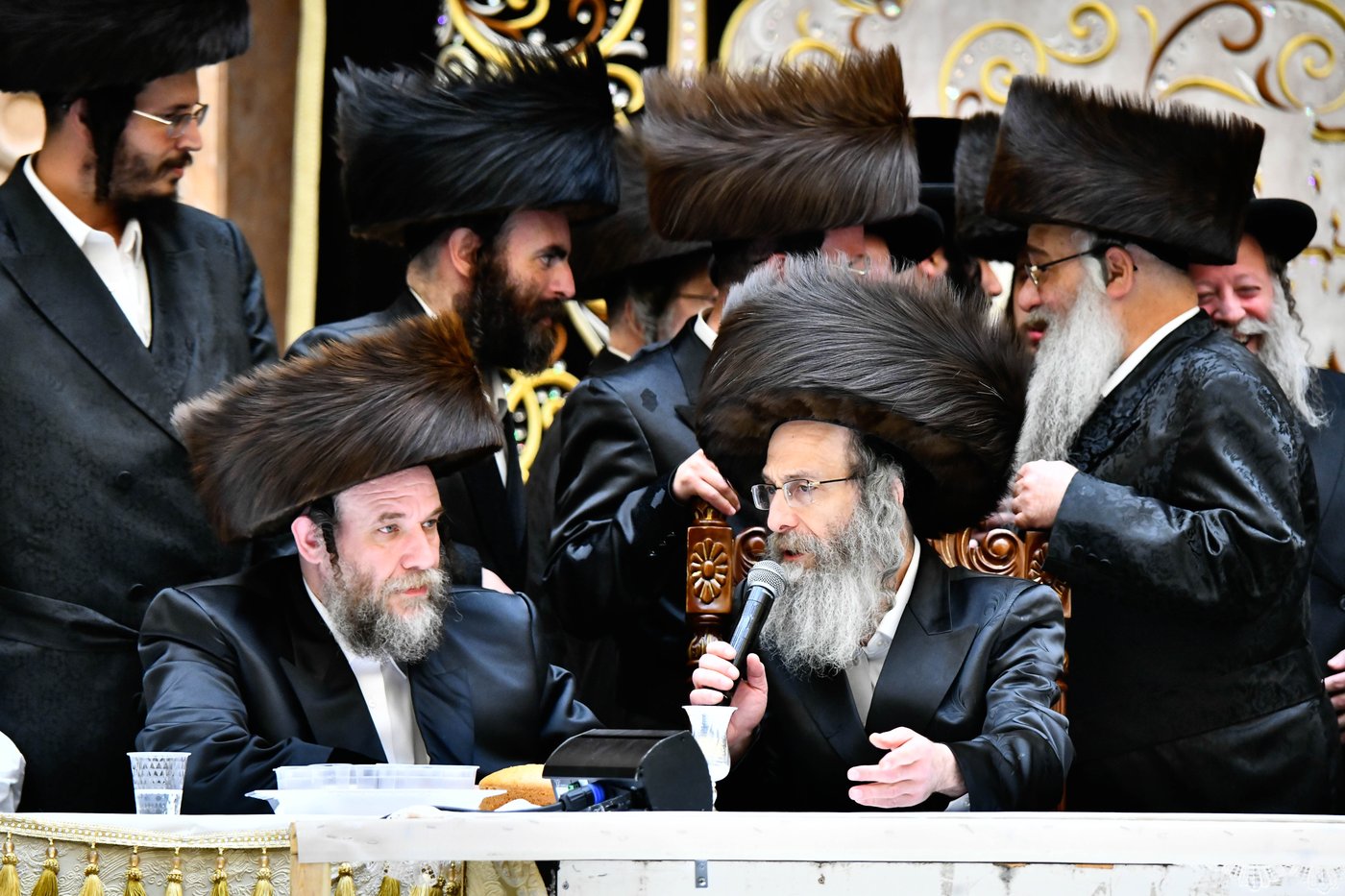 שמחת בית ויז'ניץ