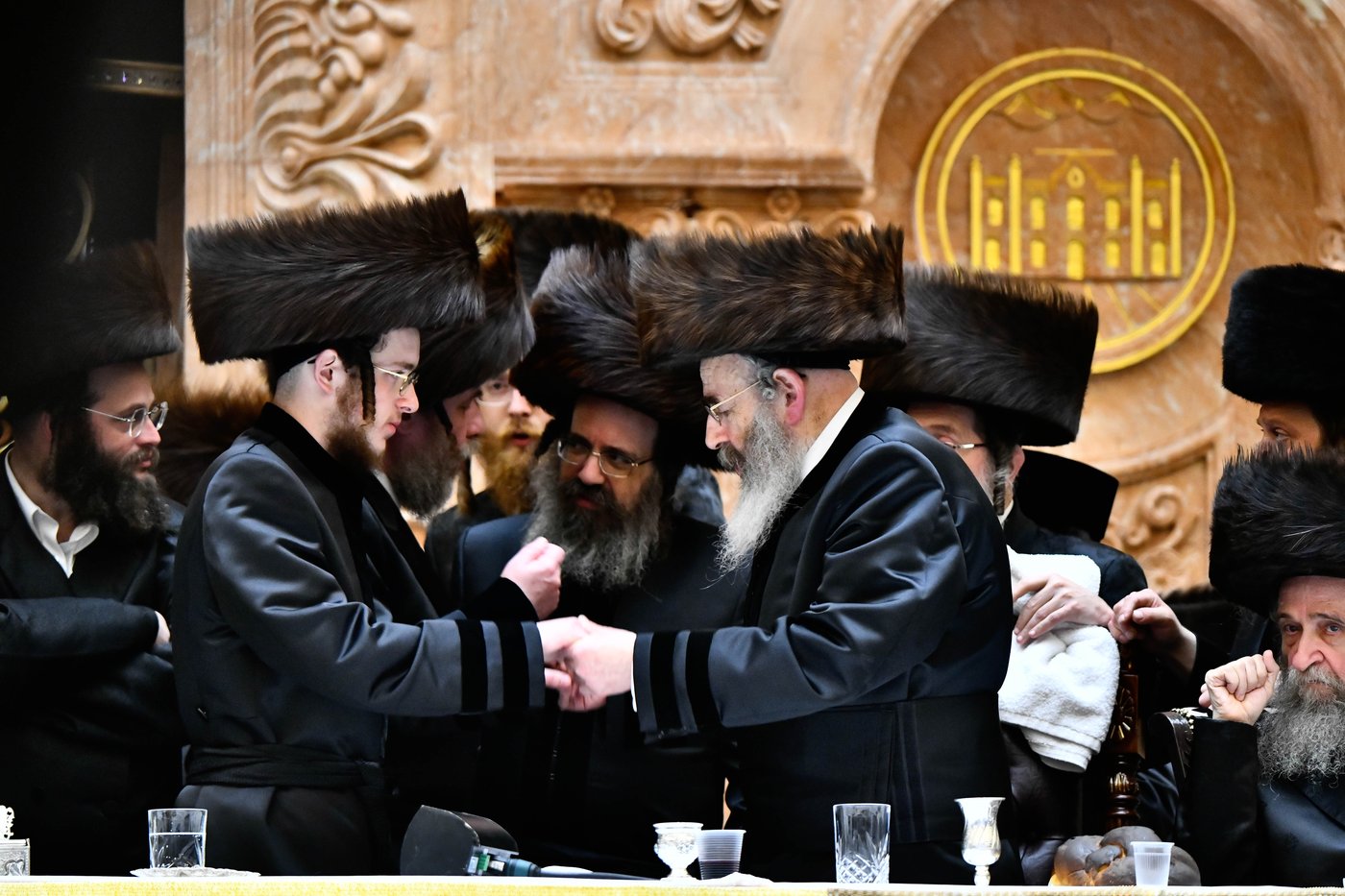 שמחת בית ויז'ניץ