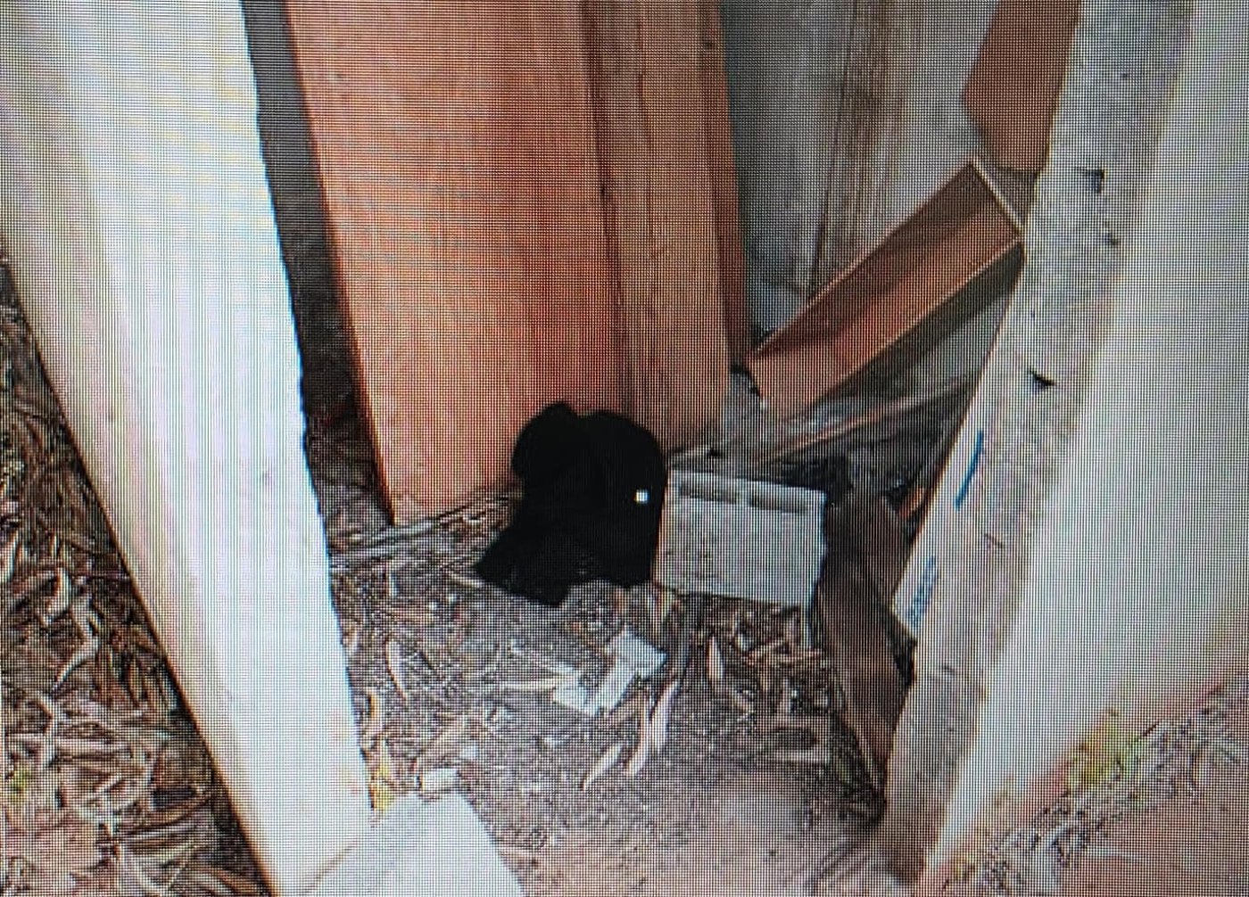 הדקות שאחרי הרצח המזעזע בכולל בבני ברק: החשוד רץ עם כפפה וסכין וזורק במבנה נטוש | צפו
